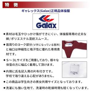 体操服 ギャレックス 正規品 ヨーク襟 半袖 ...の詳細画像2