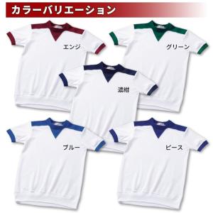 体操服 ギャレックス 正規品 ヨーク襟 半袖 ...の詳細画像4