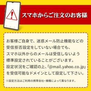 スイムガードル フットマーク 4L 5L 水着...の詳細画像3