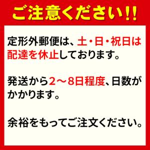スイムガードル フットマーク 4L 5L 水着...の詳細画像4