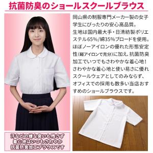 スクールシャツ 女子 丸襟 半袖 ショールブラ...の詳細画像2