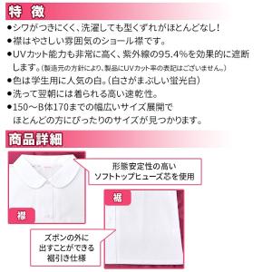 スクールシャツ 女子 丸襟 半袖 ショールブラ...の詳細画像3