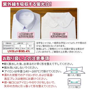 スクールシャツ 女子 丸襟 半袖 ショールブラ...の詳細画像4
