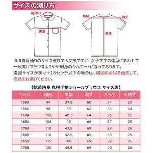 スクールシャツ 女子 丸襟 半袖 ショールブラ...の詳細画像5