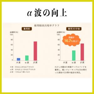 ABAND アンクルバンド 半透明 透明 目立...の詳細画像5