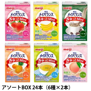 明治 メイバランスミニ (Mini) アソートBOX 3ケースセット 計72