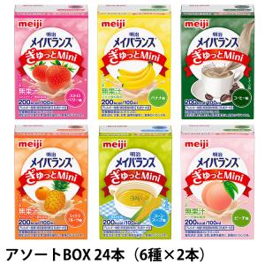 明治 メイバランスぎゅっとMini アソートBOX 100ml×6種×4本 計24本｜galenus