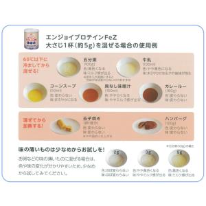 エンジョイプロテインFeZ 700g クリニコ...の詳細画像3