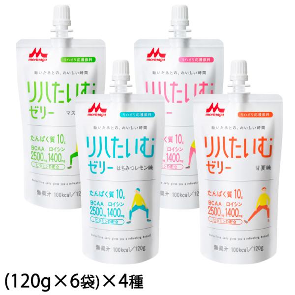 リハたいむゼリーR いろいろセット 120g×(6袋×4種) 24袋 リハビリ後や運動後に/BCAA...