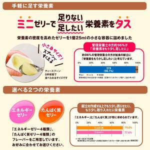 (お取り寄せ可) 日清オイリオ ミニタス エネ...の詳細画像3