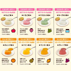 (お取り寄せ可) 日清オイリオ ミニタス エネ...の詳細画像5