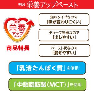 栄養アップペースト 165g 明治 (たんぱく...の詳細画像2
