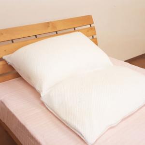 Ｇ 逆流性食道炎でお困りの方専用の枕 【Gerd pillow regular 逆流性食道炎 枕】 ガードピロー まくら （胃食道逆流症 流動性食道炎） 逆流性食道炎 枕｜galette-des-rois2