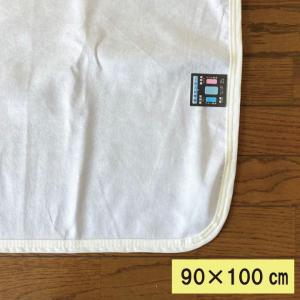 洗える除湿シート シングル ミニ 90×100cm 消臭加工　除湿マット