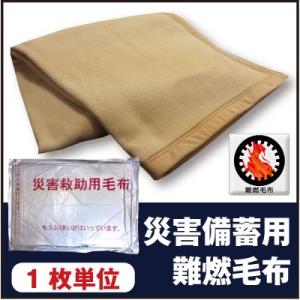 10枚単位 災害救助用毛布 災害備蓄用毛布 災害毛布 防災毛布 難燃毛布