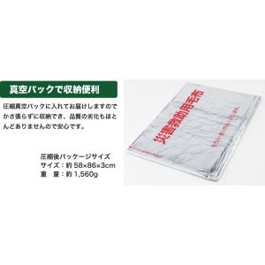 1000枚セットで送料無料 一流メーカー 災害...の詳細画像2