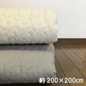 敷きパッド IONTEX 3Dゲルマニウム 水睡魔 ダブルサイズ用 ‐ GK765023