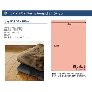 とってもECOな マイクロファイバー毛布 ひざ...の詳細画像5