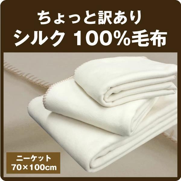 ナチュラルシルク１００％毛布(70×100cm) ひざ掛けサイズ シルク毛布 絹毛布 ベビー毛布　『...