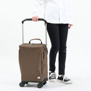 【当店限定モデル】特典付 エース キャリーカー...の詳細画像1