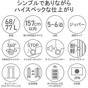 最大50%★10/16迄 正規品10年保証 プ...の詳細画像4