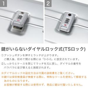 最大50%★10/16迄 正規品10年保証 プ...の詳細画像5