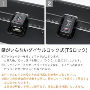 最大50%★10/16迄 正規品10年保証 プ...の詳細画像5
