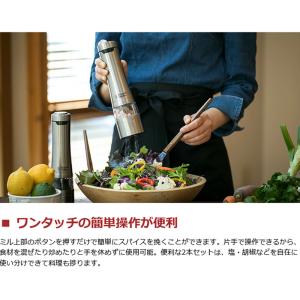 最大52%★9/13迄 正規品1年保証 ラッセ...の詳細画像2