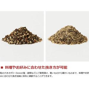 最大52%★9/13迄 正規品1年保証 ラッセ...の詳細画像4