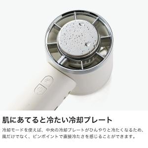 セール 正規品6ヶ月保証 トフィー ハンディフ...の詳細画像2