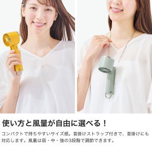 セール 正規品6ヶ月保証 トフィー ハンディフ...の詳細画像3