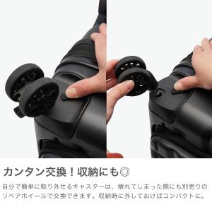 最大50%★10/11限定 特典付 正規品1年...の詳細画像2