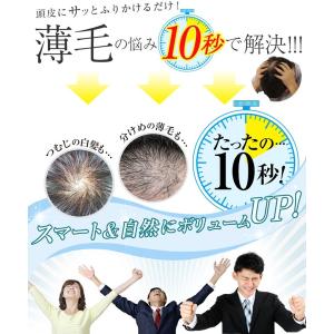 薄毛かくし パウダー 詰め替え 100g 髪の...の詳細画像1
