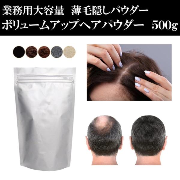 ヘアファンデーション 500g 【100gあたり996円】 大容量 薄毛隠し はげ隠し 粉 パウダー...