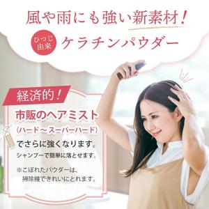 薄毛隠し パウダー ヘアファンデーション ぽん...の詳細画像3