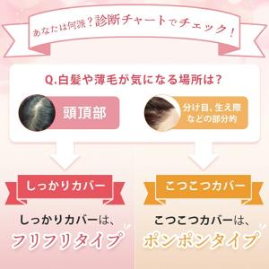 薄毛隠し パウダー ヘアファンデーション ぽん...の詳細画像5