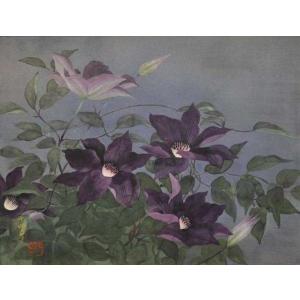 大矢 十四彦「首夏」日本画｜gallery-kazenotayori