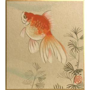 中谷文魚　『金魚』　(2)　ミニ色紙絵(寸松庵)　　　　絵画 日本画 夏 メール便 ネコポス