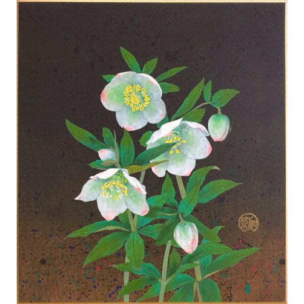 白木菜加 「 クリスマスローズ 」 色紙絵　　　絵画 日本画 冬の色紙 冬の花 白 黒