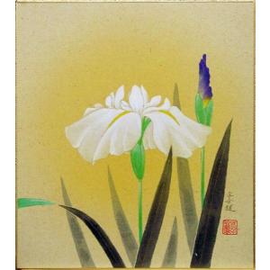 花菖蒲の絵の商品一覧 通販 Yahoo ショッピング