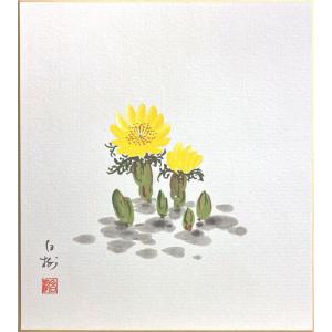 福寿草 日本画の商品一覧 通販 Yahoo ショッピング