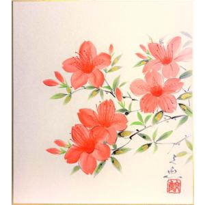 中谷文魚 「 つつじ 」色紙絵       絵画 日本画 春の色紙 初夏の色紙 春の花 初夏の花 ツツジ 躑躅 赤い花