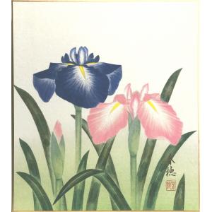 花菖蒲の絵の商品一覧 通販 Yahoo ショッピング