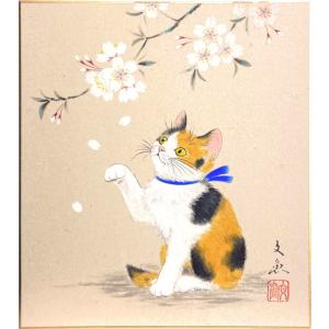 中谷文魚 「 桜に子猫 」( 三毛猫 )  色紙絵　　　　絵画 日本画 春の色紙 春の花 さくら サクラ  ピンク ねこ ネコ かわいい 動物