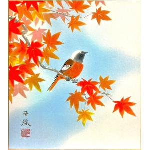 水墨絵画【赤もみじ】 中谷文魚 「 紅葉 」(3) 色紙絵 絵画 日本画 秋の色紙 小禽 花鳥