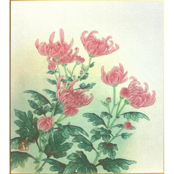 中村千春　『菊』　色紙絵　　絵画 日本画 秋の花 秋の色紙 メール便 ネコポス