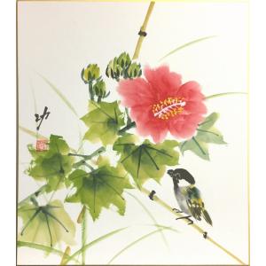 秋田　功　『芙蓉』　色紙絵　　　　　日本画 絵画 花鳥 夏の色紙 送料無料