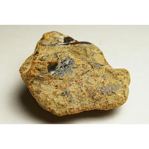 幻の名品!ブルーアンバー原石 ドミニカ産の詳細画像1