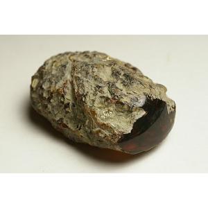 幻の名品！ブルーアンバー原石　ドミニカ産