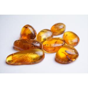 美品 虫入り琥珀 琥珀 化石 本物 バルト海産 ケース付き 11.90mm